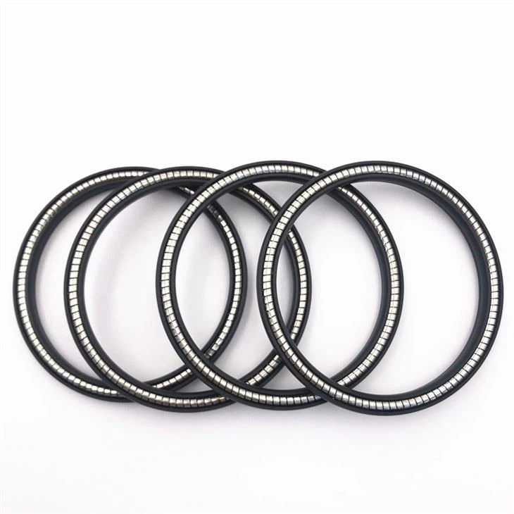 Spring Energized Seal 7