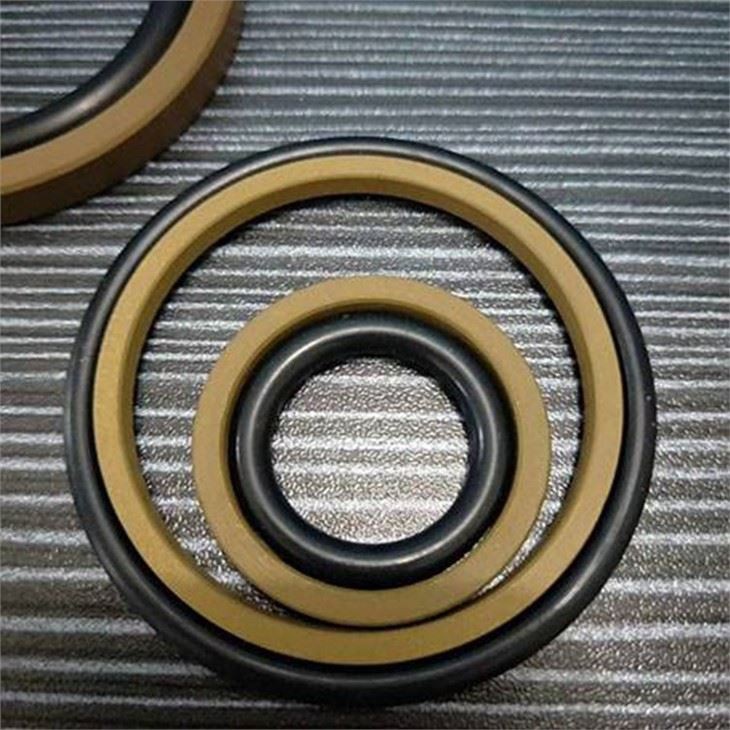 Double Acting Seal Bronze Filled Ptfe Glyd Ring